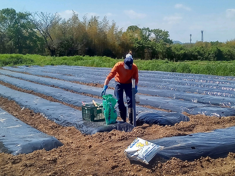 かこっとんふぁーむの風景